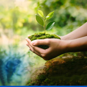 Federal Bank's Pledge to Environmental Responsibility and Green Financing